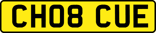 CH08CUE