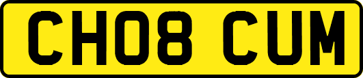CH08CUM