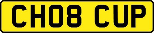 CH08CUP