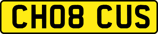 CH08CUS
