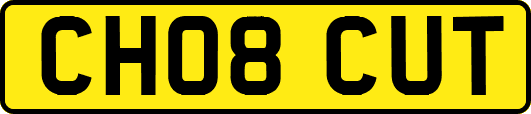 CH08CUT