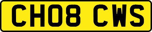 CH08CWS
