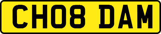 CH08DAM