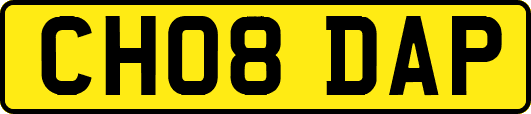 CH08DAP