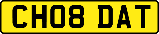 CH08DAT