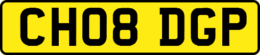 CH08DGP