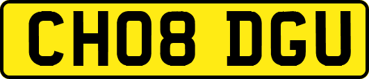 CH08DGU