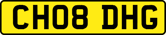 CH08DHG