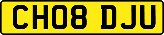 CH08DJU