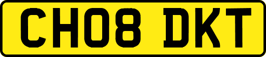 CH08DKT