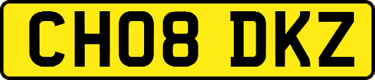 CH08DKZ