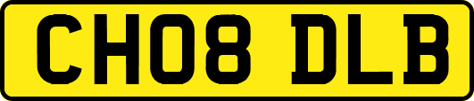 CH08DLB