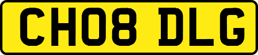 CH08DLG