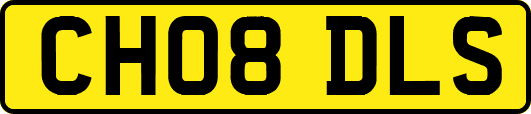CH08DLS