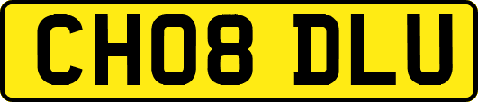 CH08DLU