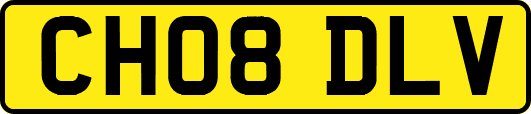 CH08DLV