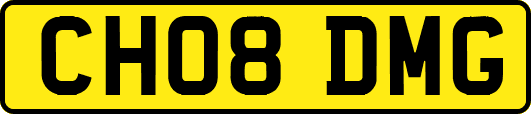 CH08DMG