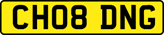CH08DNG