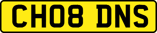 CH08DNS