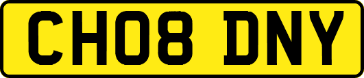 CH08DNY