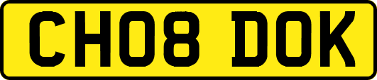 CH08DOK