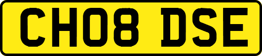CH08DSE