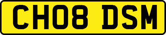 CH08DSM