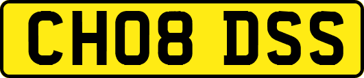 CH08DSS