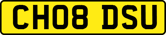 CH08DSU