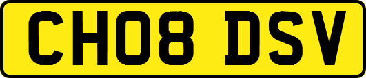 CH08DSV