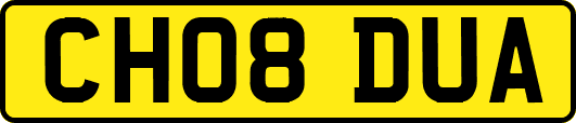 CH08DUA