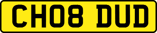 CH08DUD