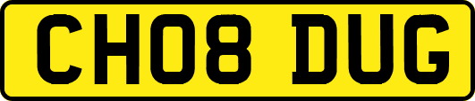 CH08DUG