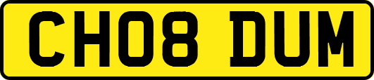 CH08DUM