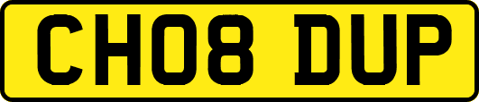 CH08DUP
