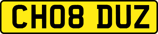 CH08DUZ