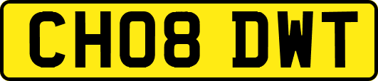 CH08DWT