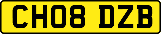 CH08DZB