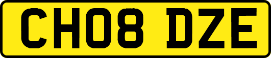 CH08DZE