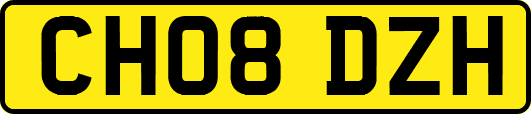 CH08DZH