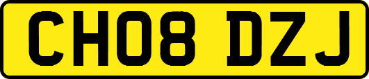 CH08DZJ