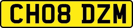 CH08DZM