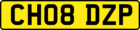 CH08DZP