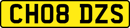 CH08DZS