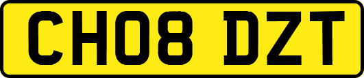 CH08DZT