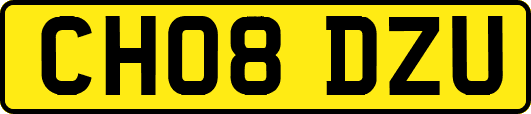 CH08DZU