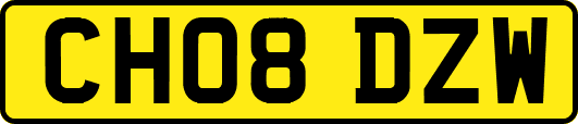 CH08DZW