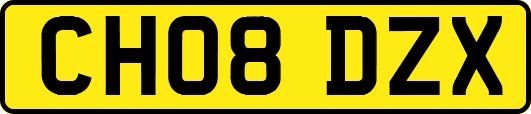 CH08DZX