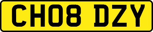 CH08DZY