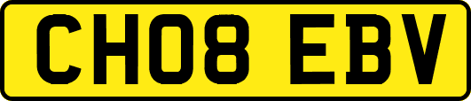 CH08EBV